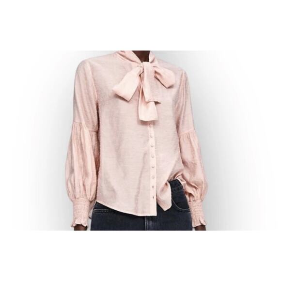Zara Swiss Dot Tie Front Pink Blouse Women’s Small Cottagecore Sheer Romantic - Picture 4 of 15
